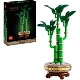 LEGO Collection botanique - Bambou, Jouets de construction 10344