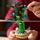 LEGO Collection botanique - Bambou, Jouets de construction 10344