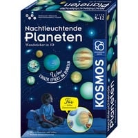 KOSMOS 654269, Boîte d’expérience