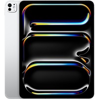 Apple tablette 13" Argent